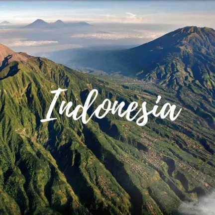 Get Indonesia visa by holidaysmaker